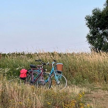 Lwb Ferienwohnung "Auszeit Im Denkmal" Wittenberg Exterior photo